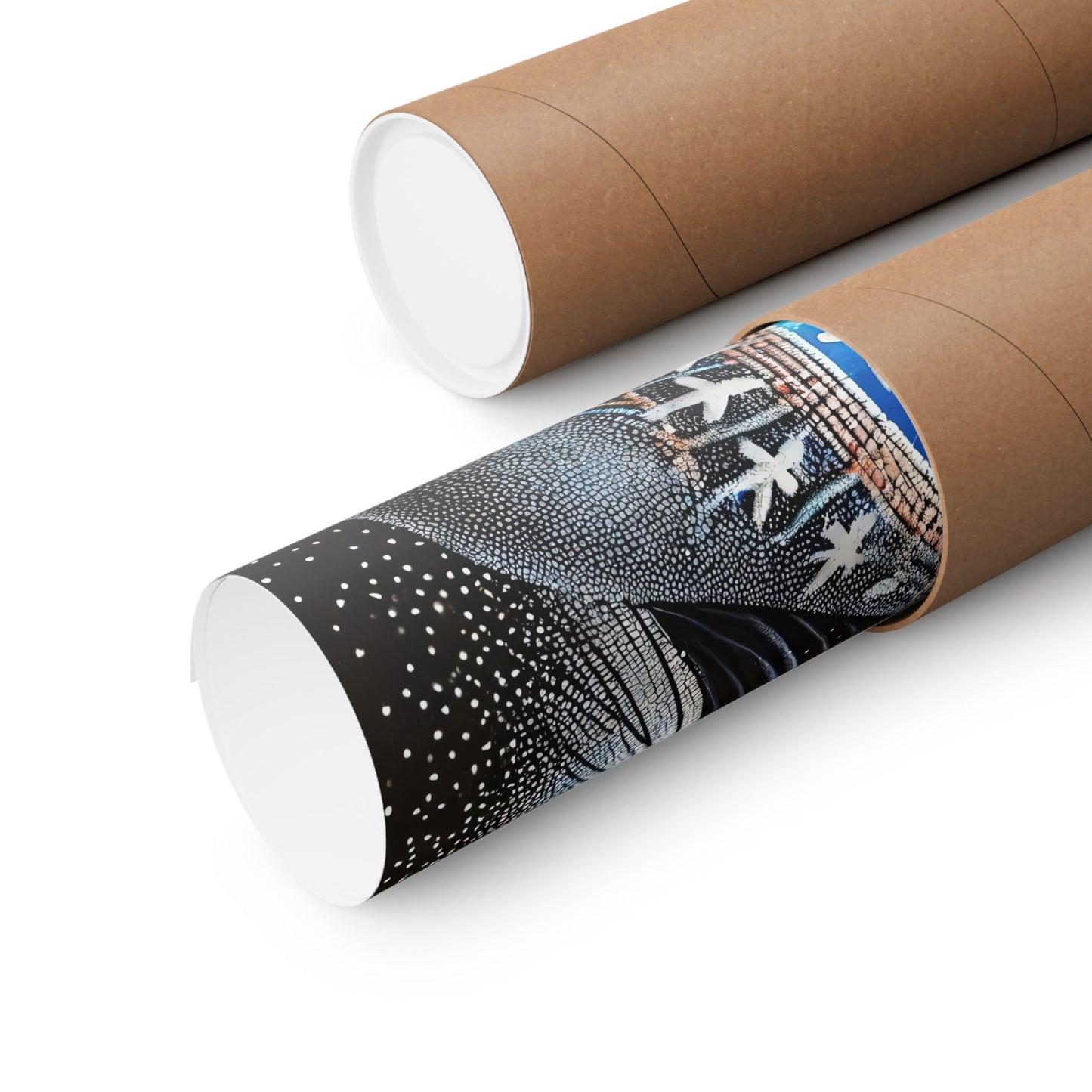 Truth of Voice-Museum Grade Matte Poster