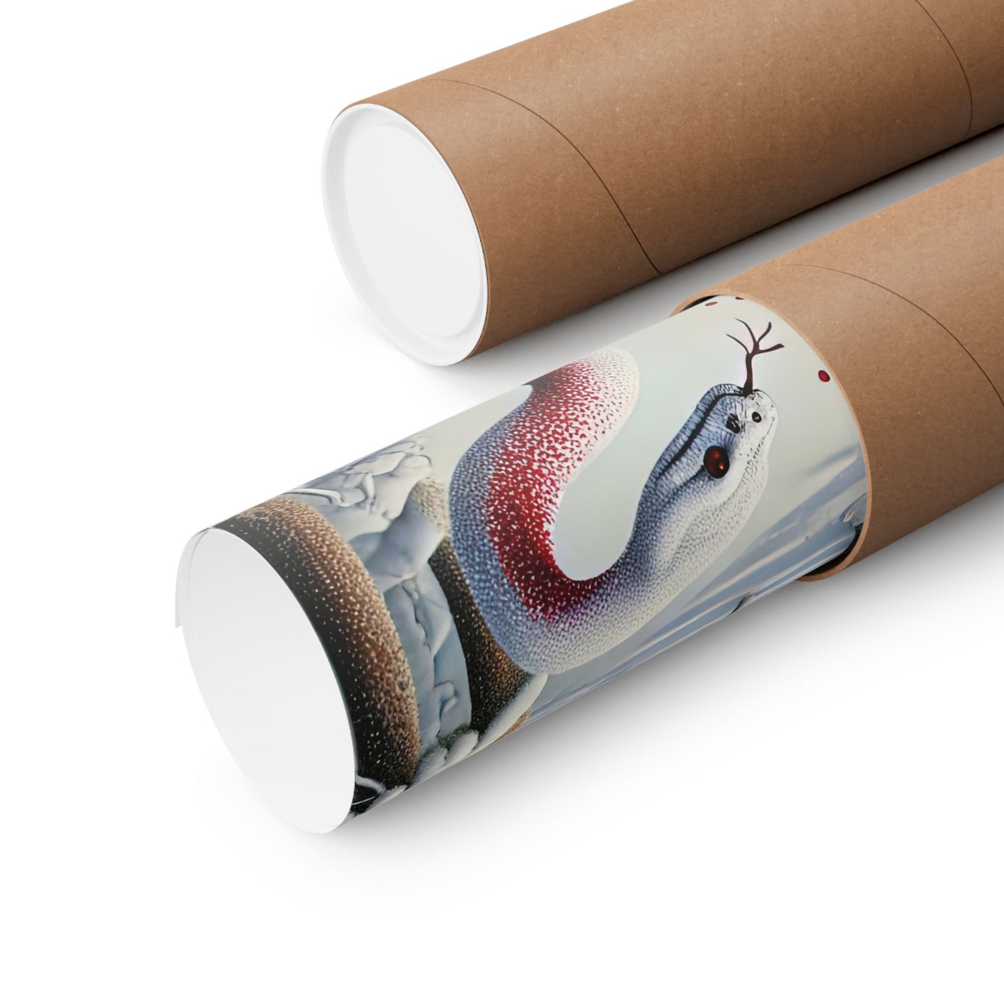 Womb Awakening-Museum Grade Matte Posters