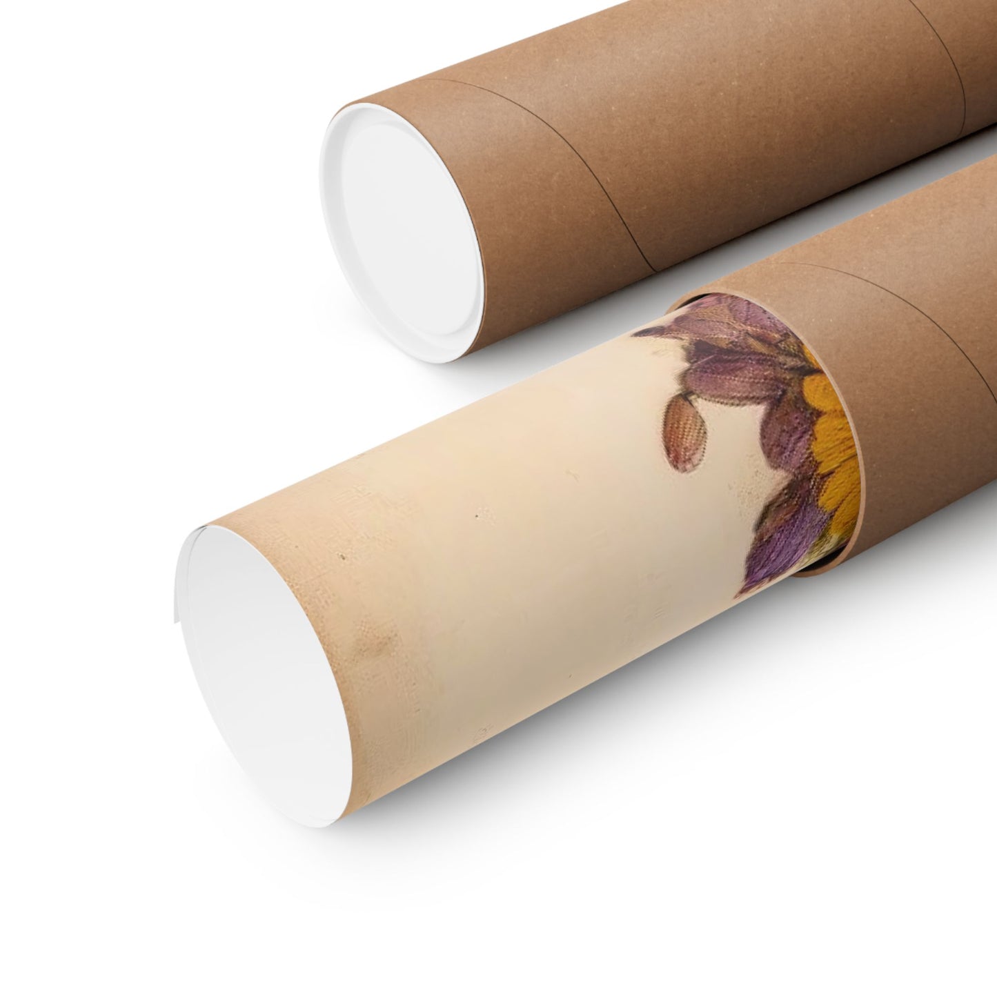 Medicine Woman -Matte Print Poster